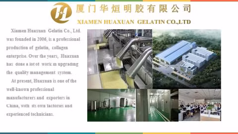 Fish Gelatin in Factory Price Edible Fish Gelatin